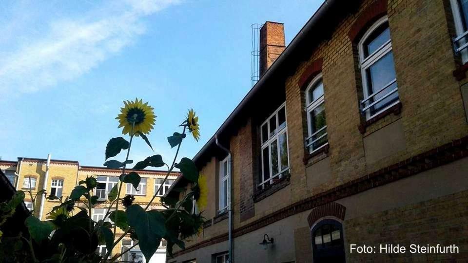Klassmo Kulturcafe&Gaestehaus Mit Kulturwerkstatt 卢肯瓦尔德 外观 照片