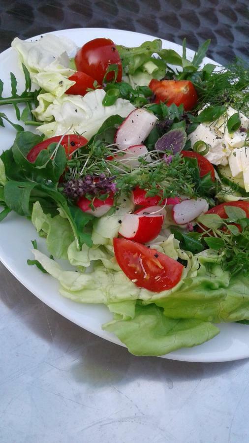 Klassmo Kulturcafe&Gaestehaus Mit Kulturwerkstatt 卢肯瓦尔德 外观 照片